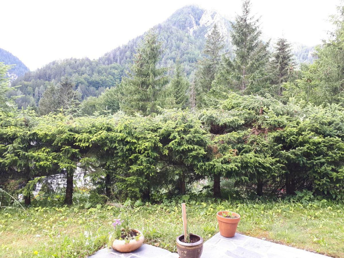 Holiday House Jasna Kranjska Gora Exteriör bild